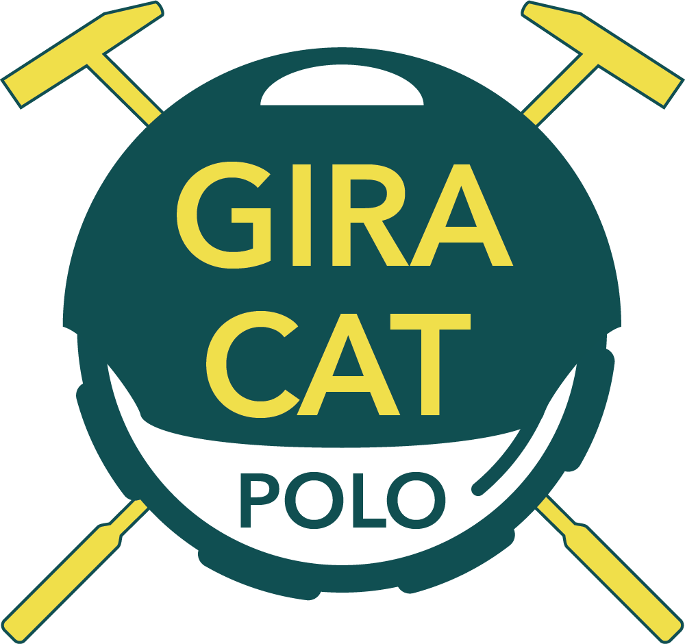Polo Wheel & Roda Polo School