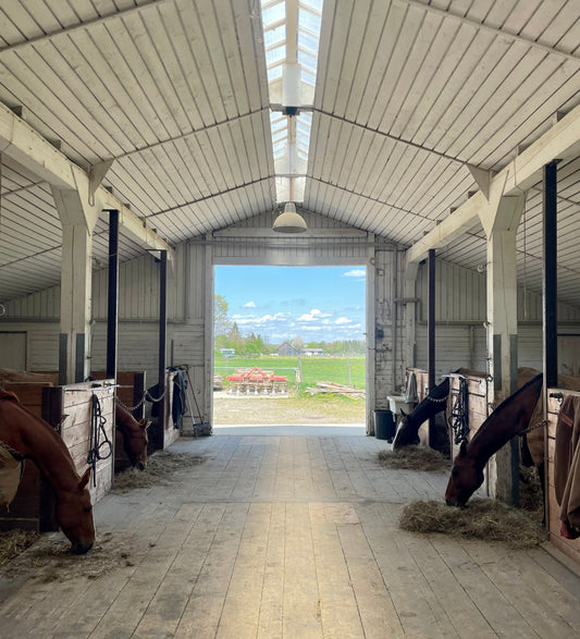 Polo Club Landsberg